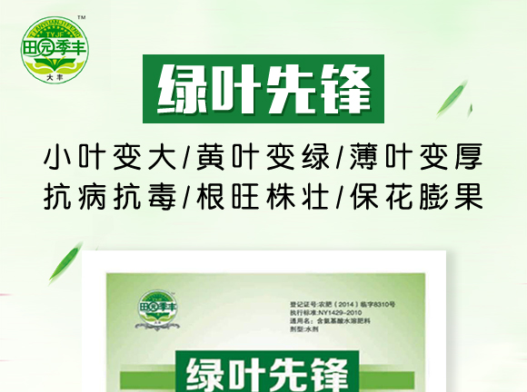 25ml綠葉先鋒-田園季豐-大豐肥業(yè) 25ml綠葉先鋒-田園季豐-大豐肥業(yè)