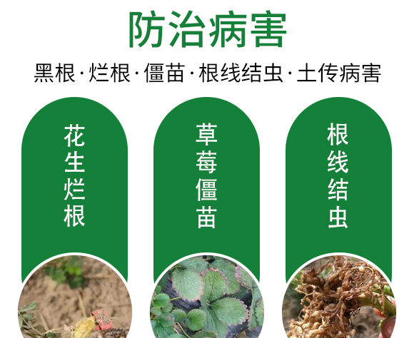 保花膨果肥-田園季豐-大豐肥業(yè) ;ㄅ蚬-田園季豐-大豐肥業(yè)