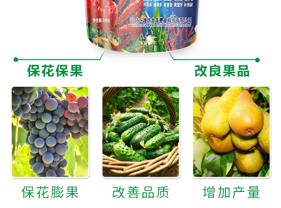 ;ㄅ蚬-田園季豐-大豐肥業(yè) 保花膨果肥-田園季豐-大豐肥業(yè)