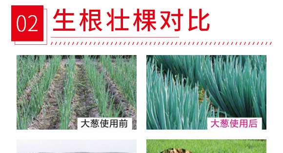 碳酶黃腐酸鉀-禾蓓康-龍燈 碳酶黃腐酸鉀-禾蓓康-龍燈