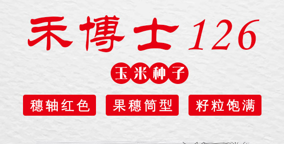 禾博士126-玉米種子-商都種業(yè) 禾博士126-玉米種子-商都種業(yè)