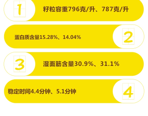 濮麥6311-小麥種子-邦邦種業(yè) 濮麥6311-小麥種子-邦邦種業(yè)