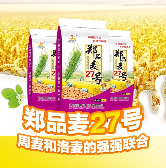 鄭品麥27號(hào)-小麥種子-邦邦種業(yè) 鄭品麥27號(hào)-小麥種子-邦邦種業(yè)