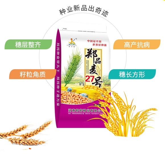 鄭品麥27號(hào)-小麥種子-邦邦種業(yè) 鄭品麥27號(hào)-小麥種子-邦邦種業(yè)