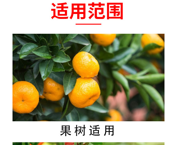 大量元素水溶肥-海法k-艾米-海法國際 大量元素水溶肥-海法k-艾米-海法國際