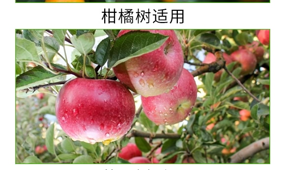 根寶·礦源腐殖酸鉀-碳戀-廣宇通 根寶·礦源腐殖酸鉀-碳戀-廣宇通