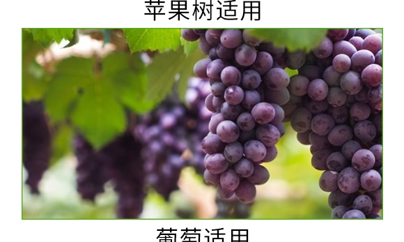 根寶·礦源腐殖酸鉀-碳戀-廣宇通 根寶·礦源腐殖酸鉀-碳戀-廣宇通