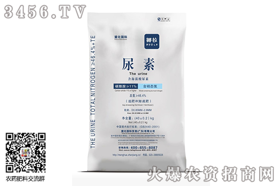 Ј(wn)ϝq2020-10-31؃rr