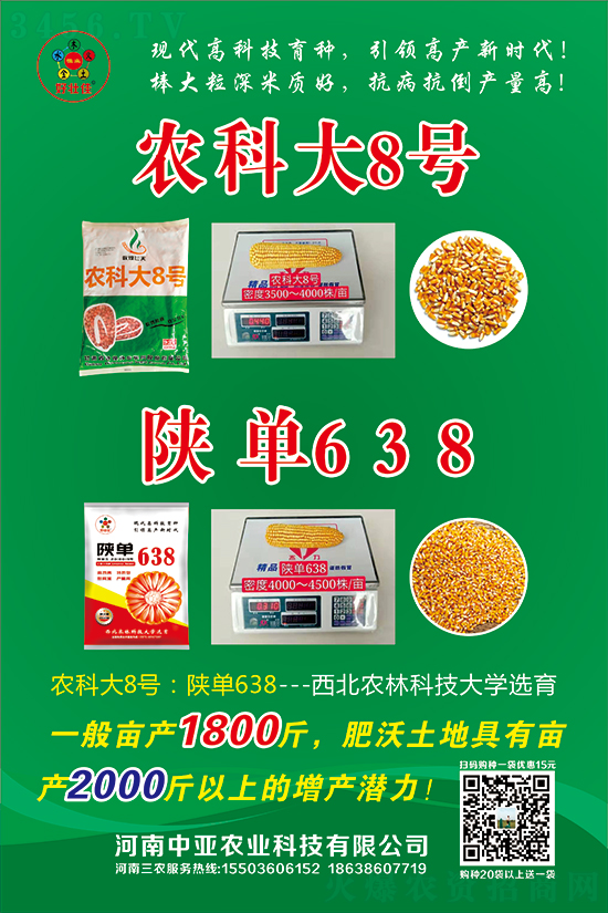 陜單638玉米種子-好壯佳-中亞農(nóng)業(yè) 陜單638玉米種子-好壯佳-中亞農(nóng)業(yè)