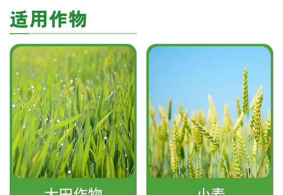 澶嶅悎鑲ユ枡17-17-17-鐩涘ぇ鐢熸乢05.jpg 澶嶅悎鑲ユ枡17-17-17-鐩涘ぇ鐢熸乢05.jpg