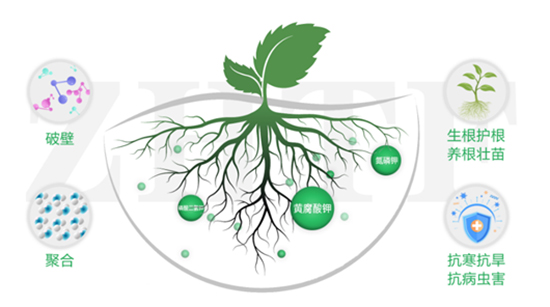 騫寵 鍨嬪ぇ閲忓厓绱犳按婧惰偉19-19-19+TE-縐戣禌寰?瀹夐槼涓洓2.jpg 騫寵 鍨嬪ぇ閲忓厓绱犳按婧惰偉19-19-19+TE-縐戣禌寰?瀹夐槼涓洓2.jpg