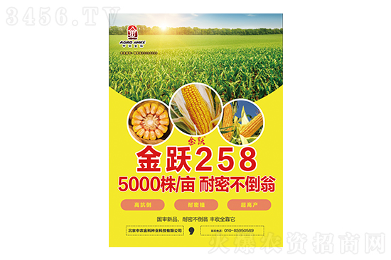 2021-3-4山東地區(qū)玉米價(jià)格收購(gòu)報(bào)價(jià)一覽 2021-3-4山東地區(qū)玉米價(jià)格收購(gòu)報(bào)價(jià)一覽