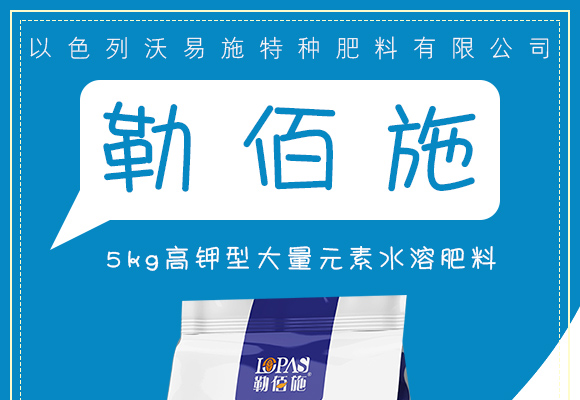 5kg楂橀捑鍨嬪ぇ閲忓厓绱犳按婧惰偉鏂?2-8-40+TE_01.jpg 5kg楂橀捑鍨嬪ぇ閲忓厓绱犳按婧惰偉鏂?2-8-40+TE_01.jpg