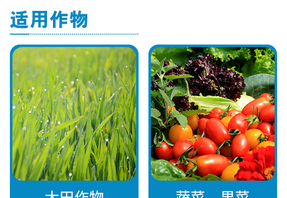 5kg楂橀捑鍨嬪ぇ閲忓厓绱犳按婧惰偉鏂?2-8-40+TE_05.jpg 5kg楂橀捑鍨嬪ぇ閲忓厓绱犳按婧惰偉鏂?2-8-40+TE_05.jpg