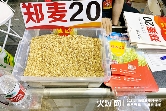 河南鑫廣發(fā)種業(yè)邀您聚首2021河南省夏季種子會! 河南鑫廣發(fā)種業(yè)邀您聚首2021河南省夏季種子會!