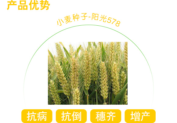 6374736687397667813892764.jpg 6374736687397667813892764.jpg