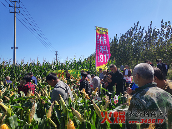 9b854d3e51c525638b661798c7a7ec75_.jpg 9b854d3e51c525638b661798c7a7ec75_.jpg