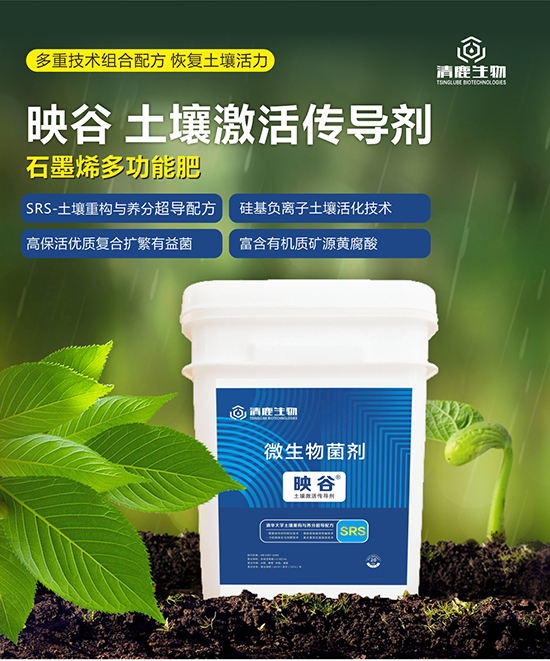 6-鍘繪晱鎰熻瘝鍏ㄧ悆棣栧垱瀛楁牱.jpg 6-鍘繪晱鎰熻瘝鍏ㄧ悆棣栧垱瀛楁牱.jpg