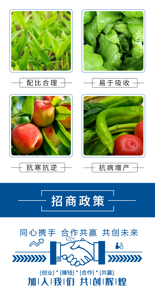 鑲ョ姸鍏冨姞闀佸瀷鍐滅敤紜濋吀閾甸挋_05.jpg 鑲ョ姸鍏冨姞闀佸瀷鍐滅敤紜濋吀閾甸挋_05.jpg