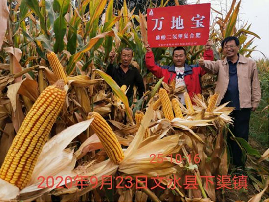 鏈爣棰?5.jpg 鏈爣棰?5.jpg