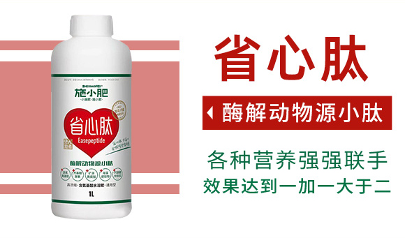 閰惰В鍔ㄧ墿婧愬皬鑲?鏂藉皬鑲03.jpg 閰惰В鍔ㄧ墿婧愬皬鑲?鏂藉皬鑲03.jpg