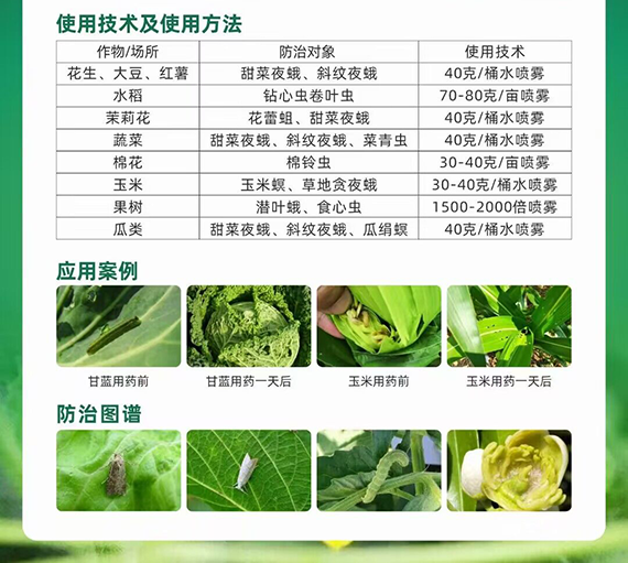 QQ鍥劇墖20240529081813.png QQ鍥劇墖20240529081813.png