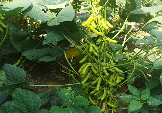 寰俊鍥劇墖_20241224140624.png 寰俊鍥劇墖_20241224140624.png