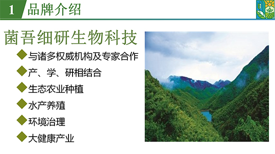 鑿屽惥緇嗙爺鍐滀笟綃嘷03.jpg 鑿屽惥緇嗙爺鍐滀笟綃嘷03.jpg