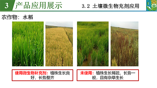 鑿屽惥緇嗙爺鍐滀笟綃嘷24.jpg 鑿屽惥緇嗙爺鍐滀笟綃嘷24.jpg
