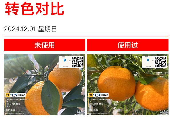 寰俊鍥劇墖_20250315090235.jpg 寰俊鍥劇墖_20250315090235.jpg