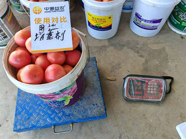 寰俊鍥劇墖_20250315090451.jpg 寰俊鍥劇墖_20250315090451.jpg