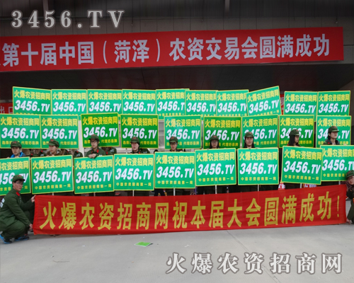 2015^лr(nng)Y̾W(wng)