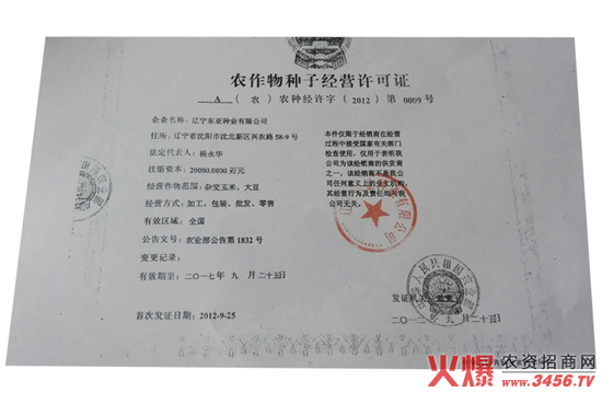 玉雜交種-東單98-好莊稼