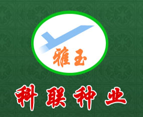 ĴϿ(lin)NI(y)؟ι˾