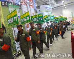 ɽ|ֲ(hu)Ä(sh)(qing)׌