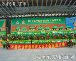 F(tun)Y(ji)ѐͻľ׌˸Є(dng)