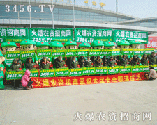 L(fng)˶ĺ(li)ӵС