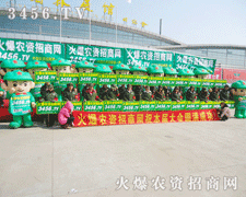 L(fng)ʺHIõr(nng)YW(wng)(jin)(mng)