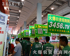 𱬾WFչ(zhn)Գ־Ǆ