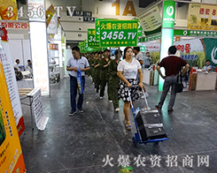 3456.TVһֱ·ͣЪ ل(chung)x