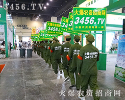 3456.TVٴγ(zhn)ݷNӕչʾr(nng)Y˵ľò