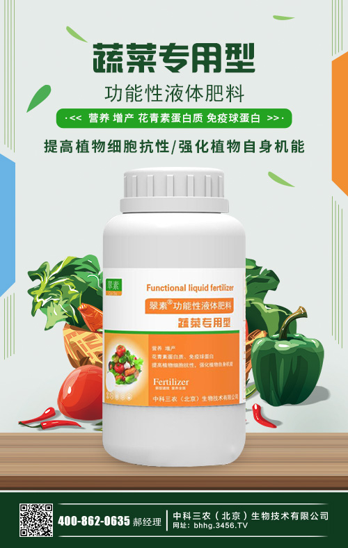 大棚蔬菜種植利潤怎么樣?大棚蔬菜種植技術(shù)大全! 大棚蔬菜種植利潤怎么樣?大棚蔬菜種植技術(shù)大全!