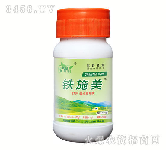 S~ޏ(f)Fʩ (Сƿ)-ʩ