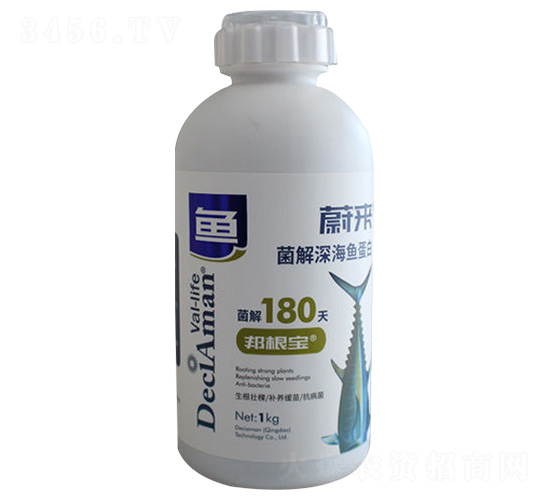 ~-ε-P(yng)r(nng)