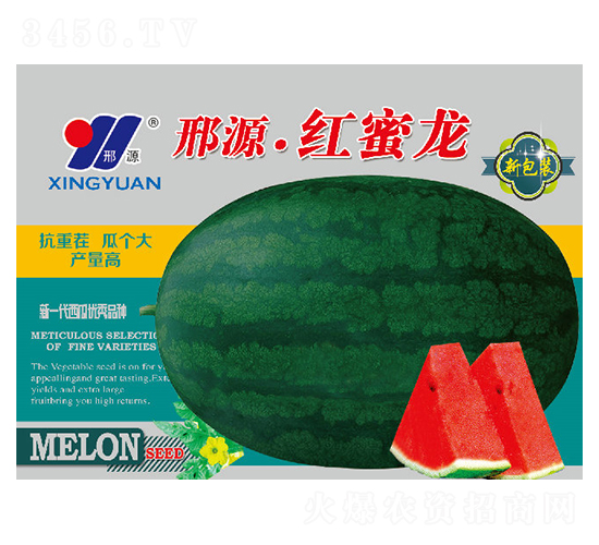 紅蜜龍-西瓜種子-邢源農(nóng)業(yè)