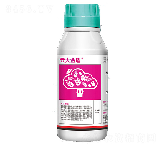 12%ѡx(chng)ືN̎Ҹ-ƴ-ێ