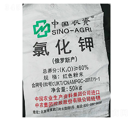 Ї(gu)r(nng)YȻ⛣tɫĩ-¡r(nng)Y