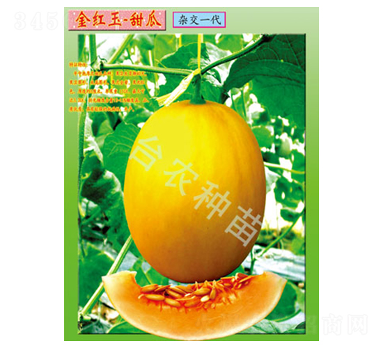 _(ti)r(nng)t-ϷN-_(ti)r(nng)N