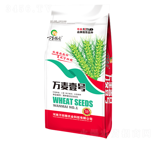 fҼ̖(ho)-fҼZ}-f(dn)Z