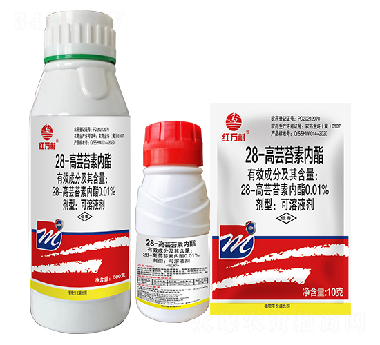 0.01%28-|̦؃(ni)-tf(wn)-l(xing)弾L(fng)-˹r(nng)